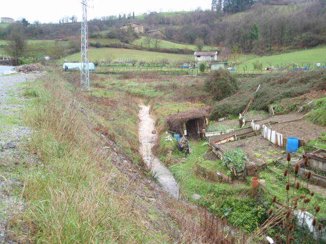 Antoliña