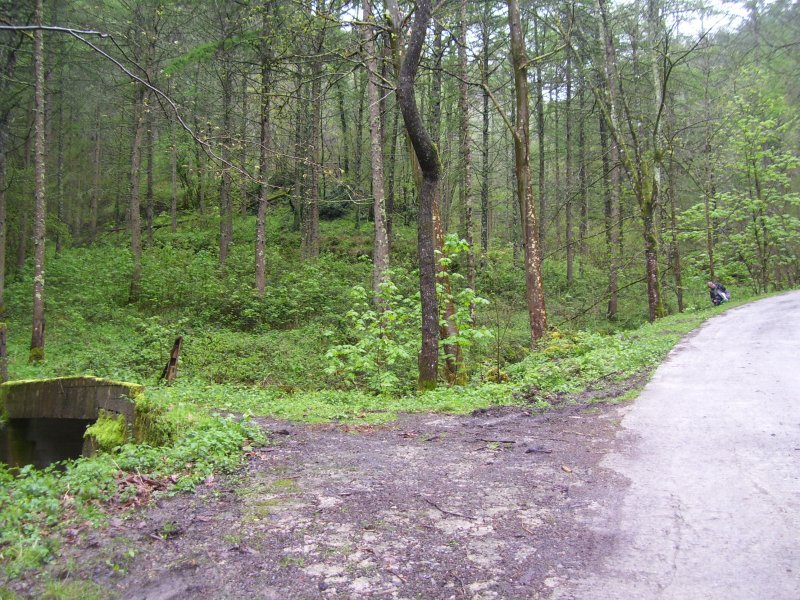 Zokotegi ingurua