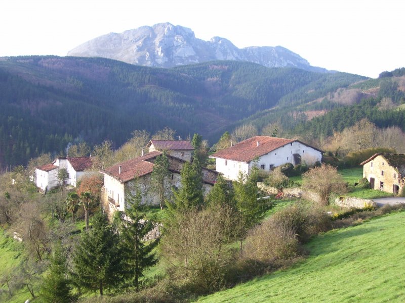 Marindao auzunea Elizamenditik