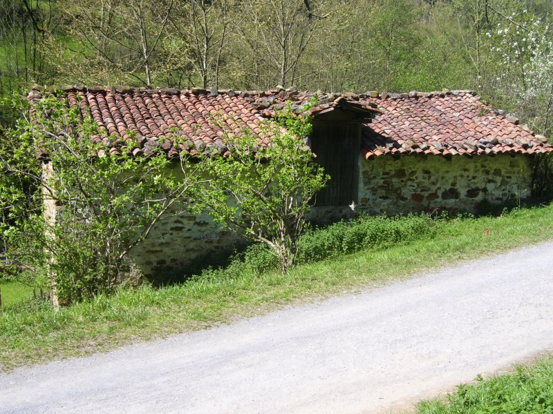 Urittako txabolia, presa onduan